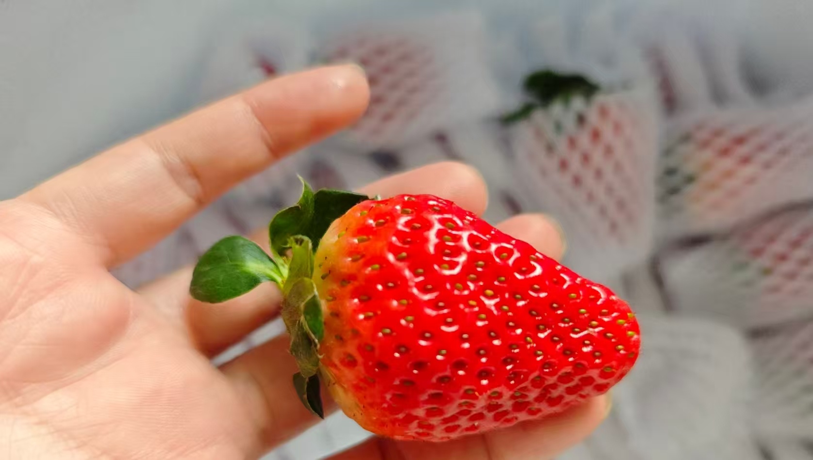 医生回应2岁娃确诊冰箱病别再把冰箱当成万能保鲜柜了！两岁宝宝吃冰镇西瓜高烧腹泻便