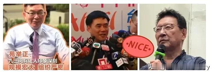 郑丽文现在估计肠子都悔青了！

她后悔的不是加入国民党，也不是竞选主席的高保证金
