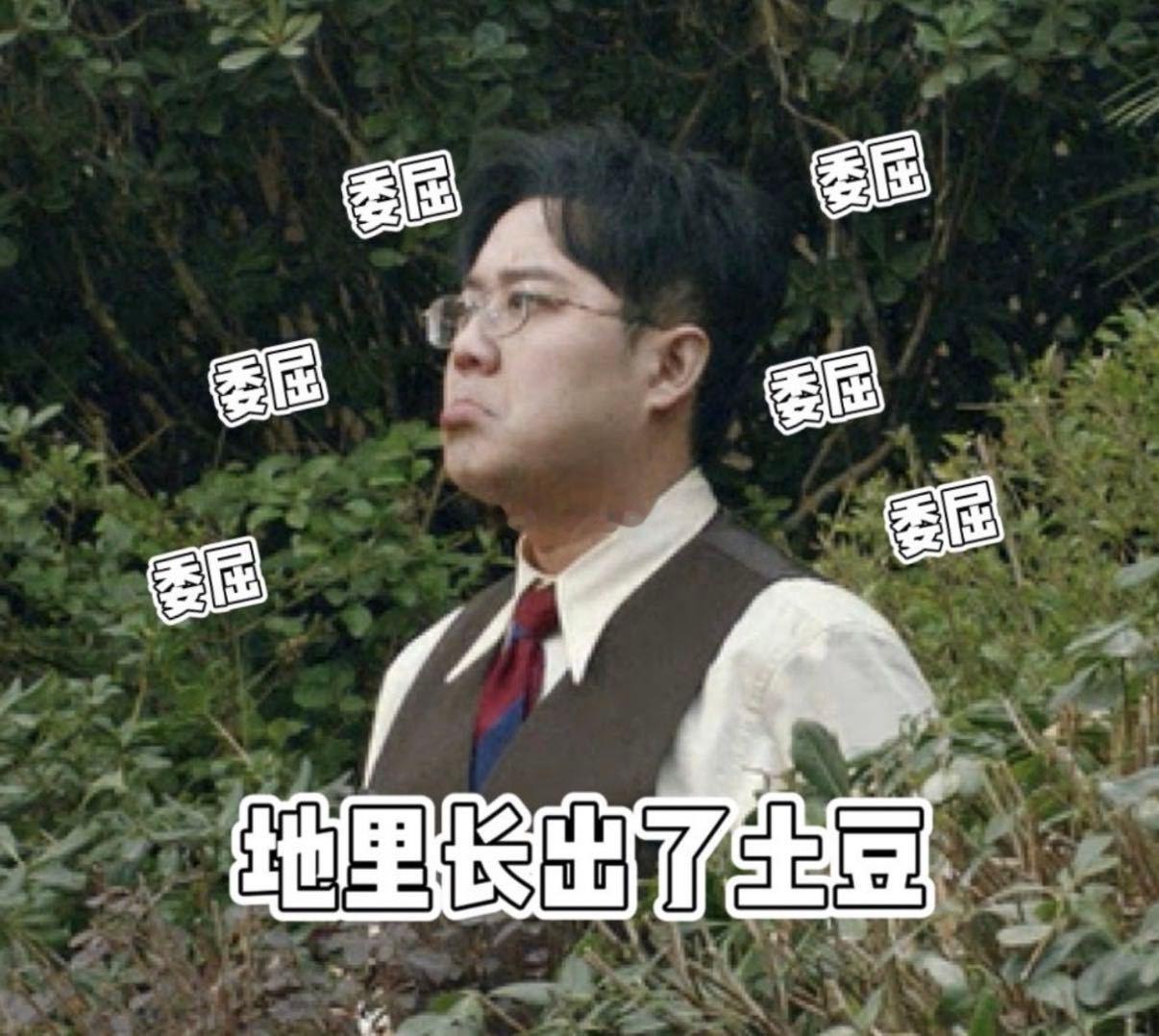 吕严 土豆要solo了 土豆大年初一独自美丽，灶王爷造型配《大丰收》年味拉满。吕