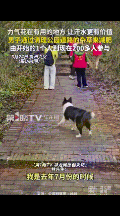 “这名男子火了！”贵州兴义一男子每天跑步减肥，路过公园时发现里面杂草丛生，想着反