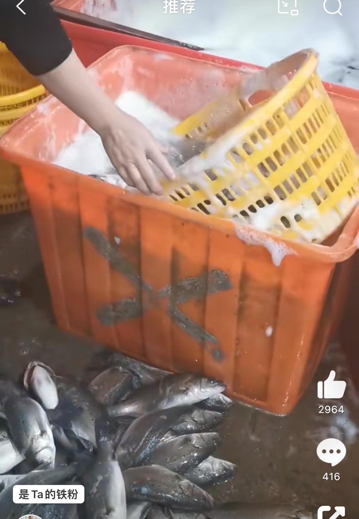 又一个惊掉下巴的狠活，麻醉活鱼，网友在水产批发市场拍摄。活鱼长途运输，为了防止死