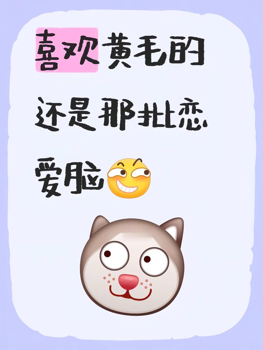 再听下去，我都会摇了🥳。喜欢黄毛的还是那批恋爱脑徐良 坏女孩 伴舞