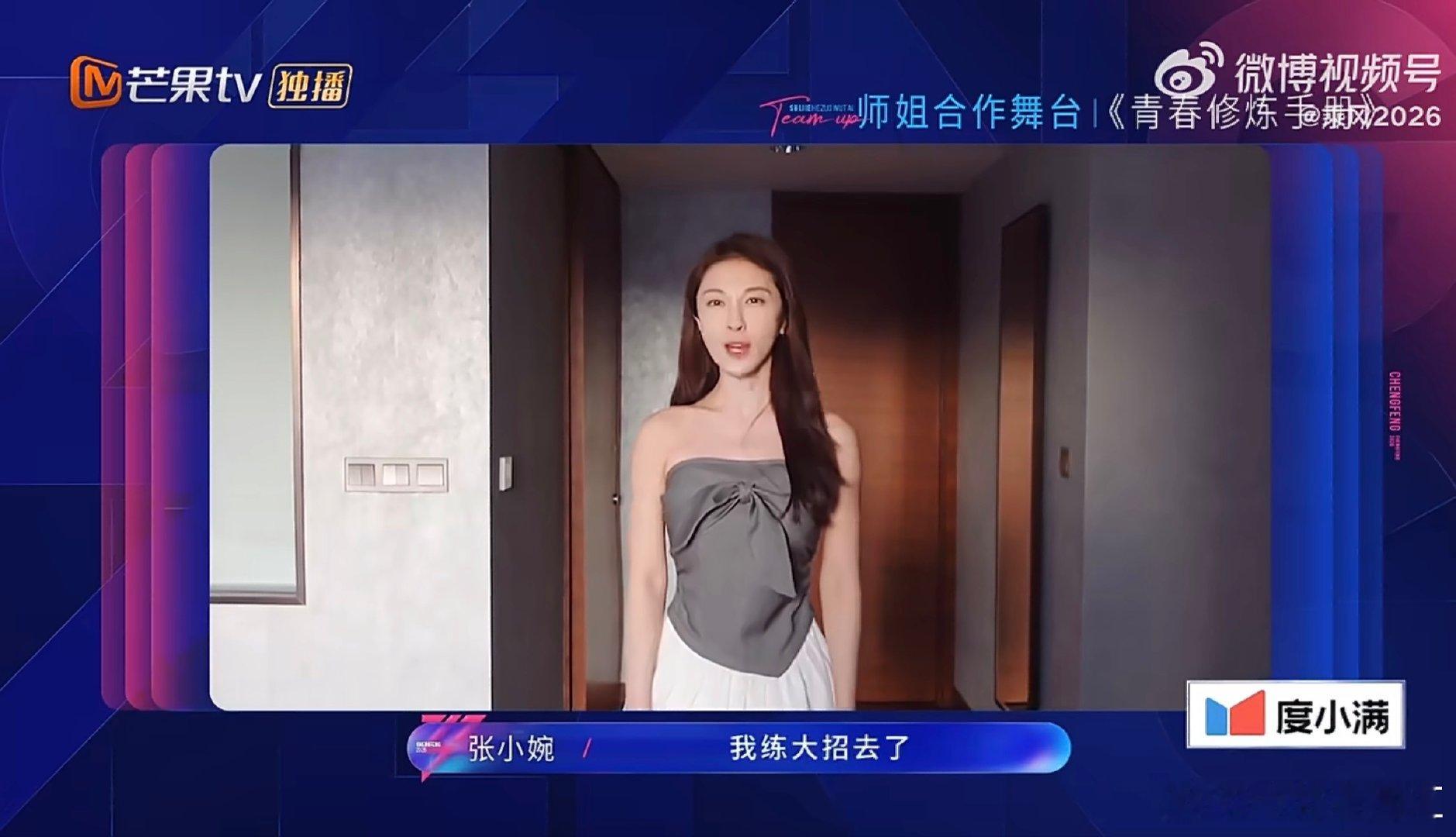 浪姐三公师姐帮唱阵容每个师姐都各有特长，搭配起来简直无敌适配。乘风2026三公师