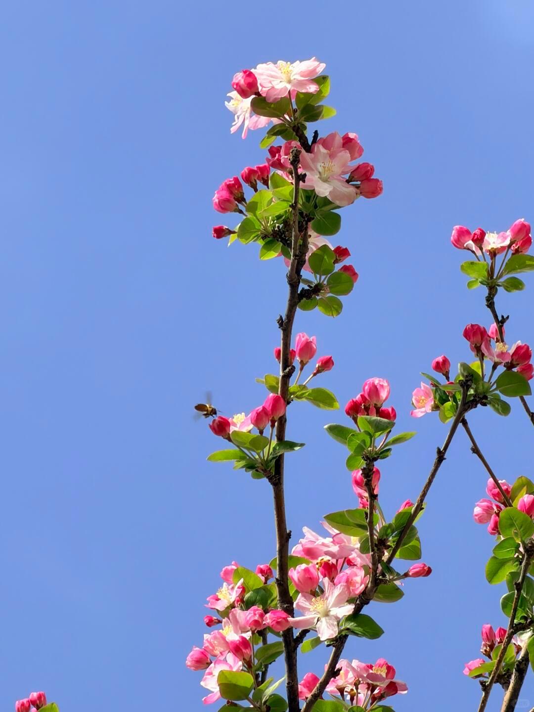 人，一定要做自己的靠山。

遇到困境，你总想找个靠山，找个安慰，仿佛有人托举才不