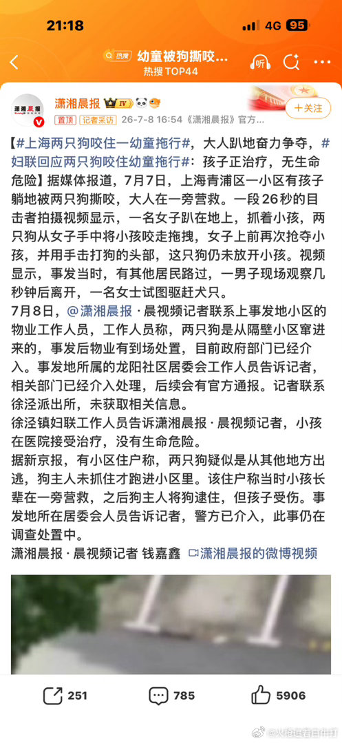 上海两只狗咬住一幼童拖行如果不爱，请别伤害的明星出来说几句呀每天都是毛孩子不懂事