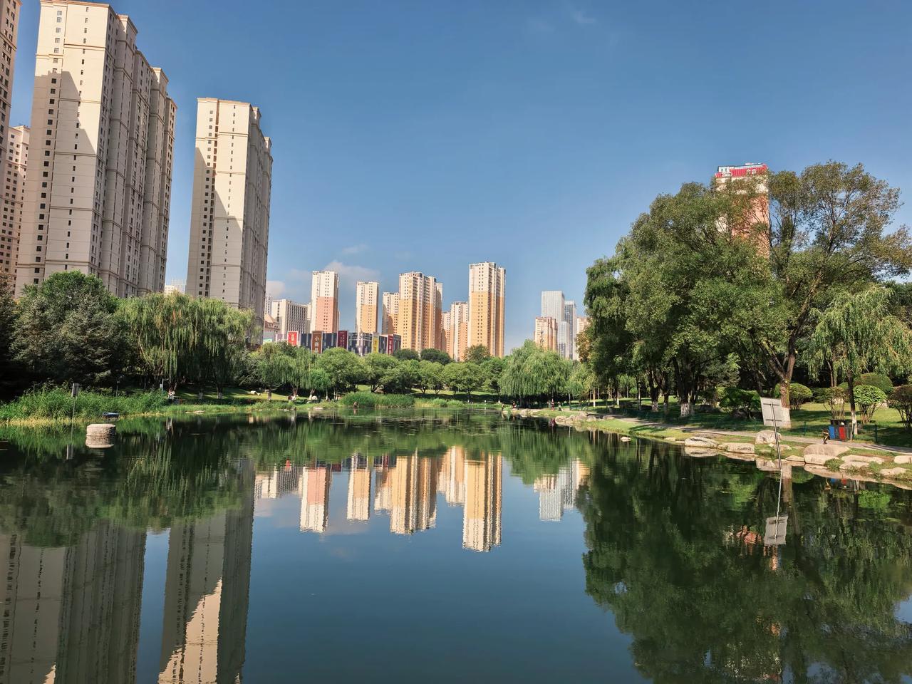 明天出趟门，今天回市区家里，安顿老人，打扫卫生，顺道来湿地公园遛弯。