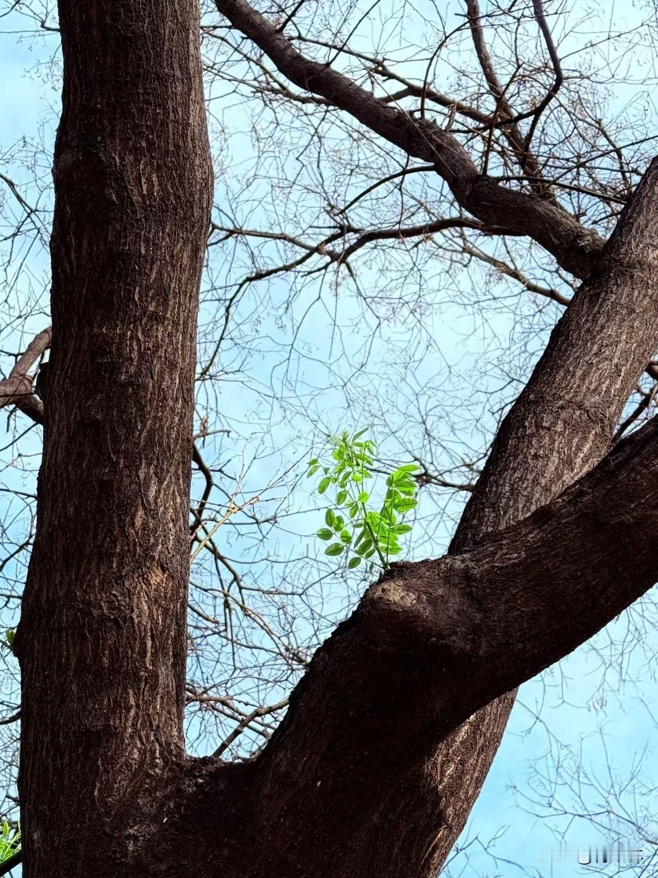 晒图笔记大赛我们都在成长中慢慢学会和自己和解，学会善待自己，学会爱自己。不慌不忙