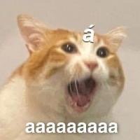 为什么是第二声？ ​​​