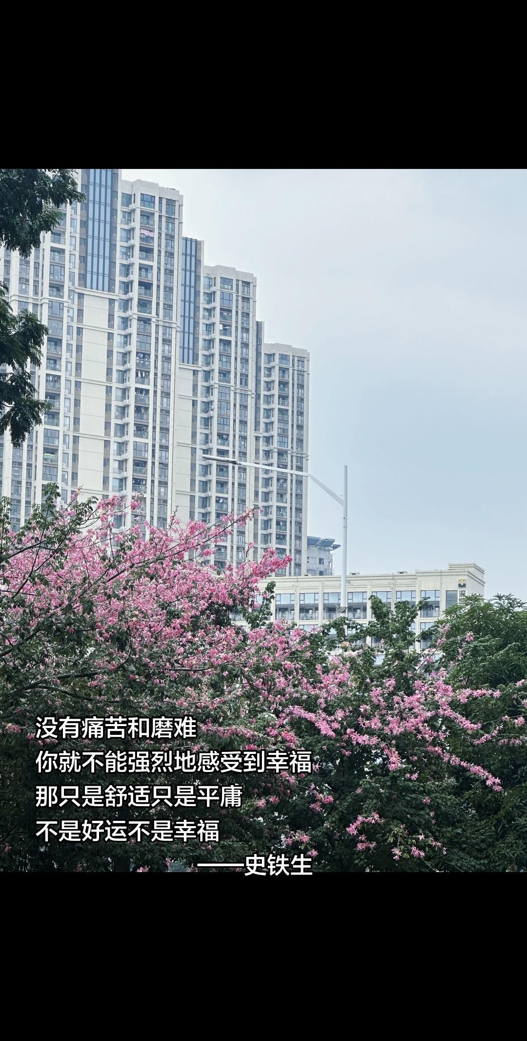 人不可能每一步路都走得正确.