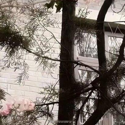 光给你明亮，风给你清凉，月给你幸福，星给你浪漫，雨给你滋润，雪给你纯洁，冰给你晶