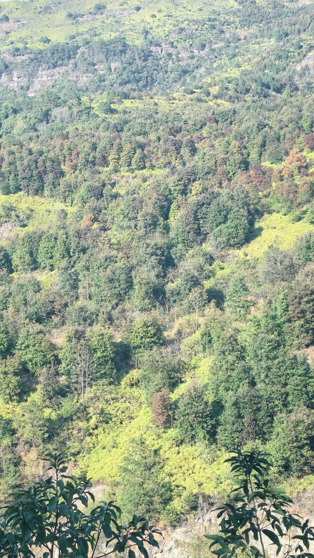 独有的大山美景