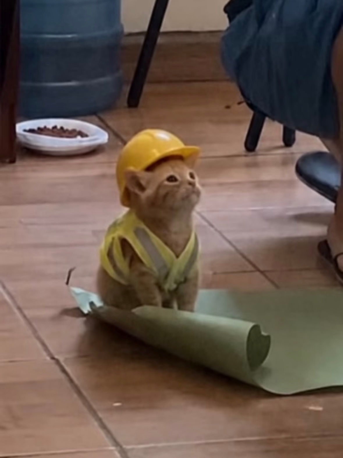 工程狮 