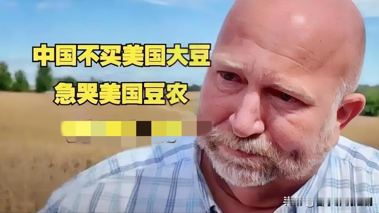 随着中美经贸团队就扩大农产品贸易达成共识，中国同意采购美国大豆，芝加哥期货交易所