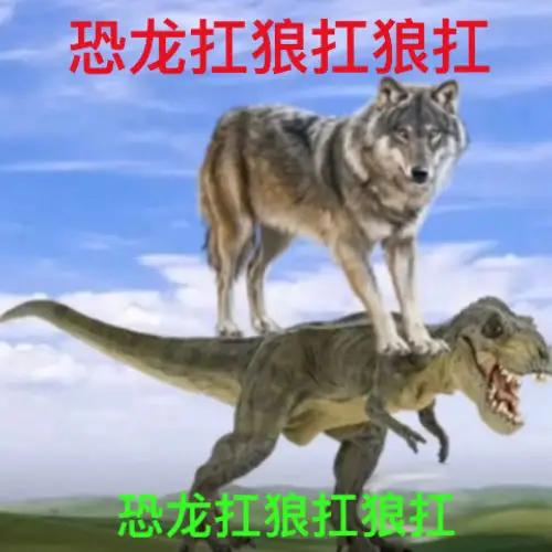 写给高高在上的老师们。