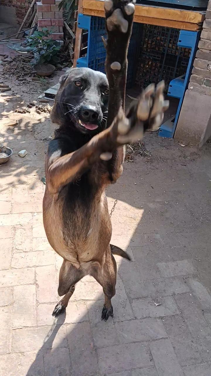 挠你痒痒 ​​​