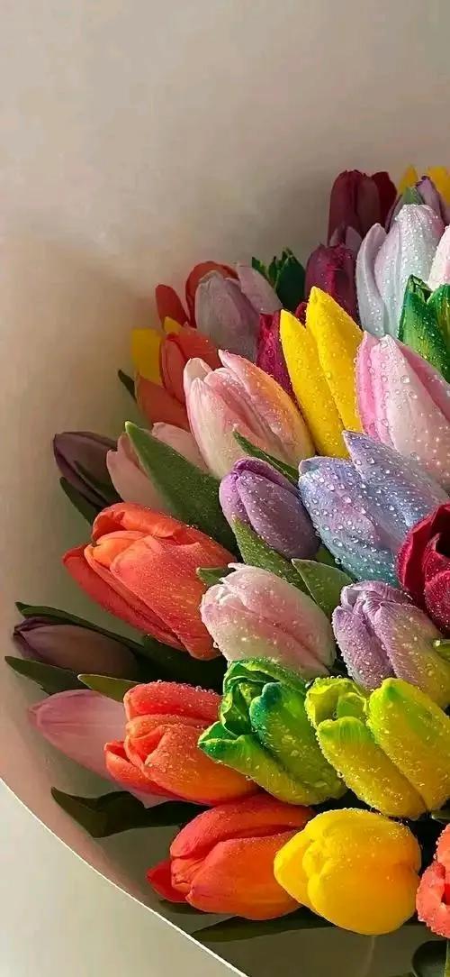 南阳的婚恋市场有多魔幻？在南阳到底买二手房好还是新房好？

今天二叔突然打来电话