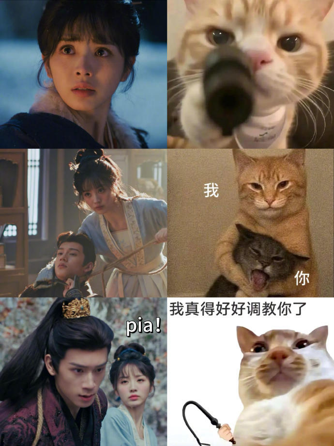 逐玉的表情包逐玉动物塑 逐玉动物塑，逐玉的表情包来袭，咱就说看一遍笑一遍的程度，