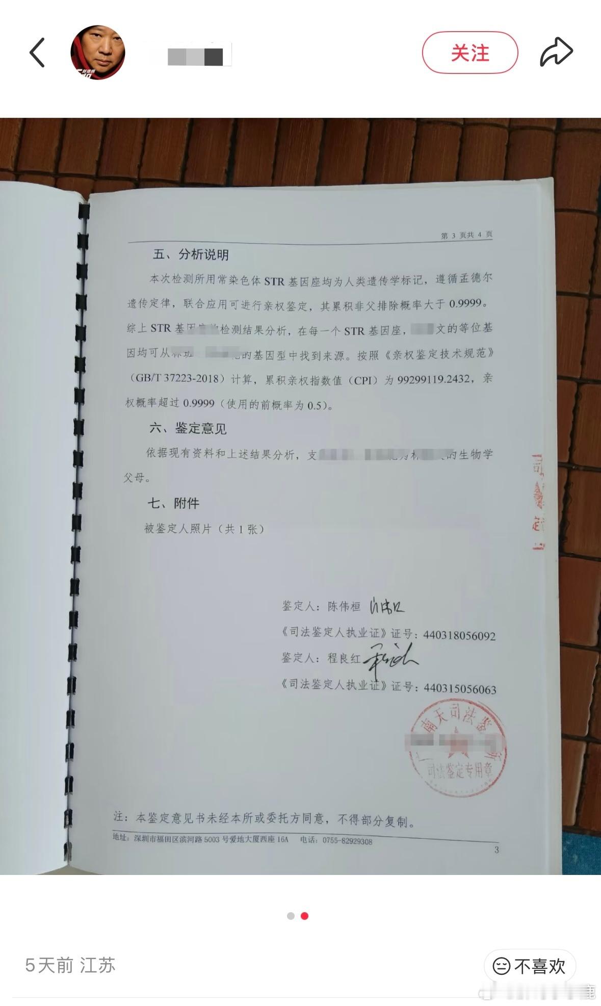 民间艺术观察