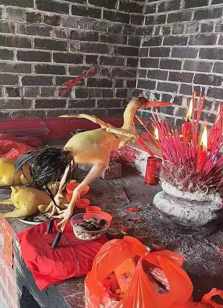 太公笑了半天才舍得吃 