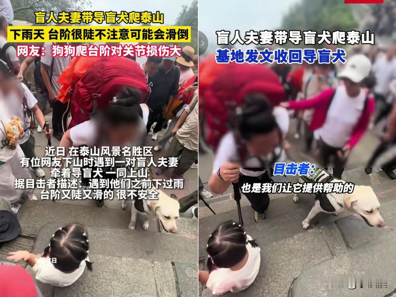 近日，一对盲人夫妻带着导盲犬

在雨天爬泰山的视频火了。

下雨天泰山的台阶又陡
