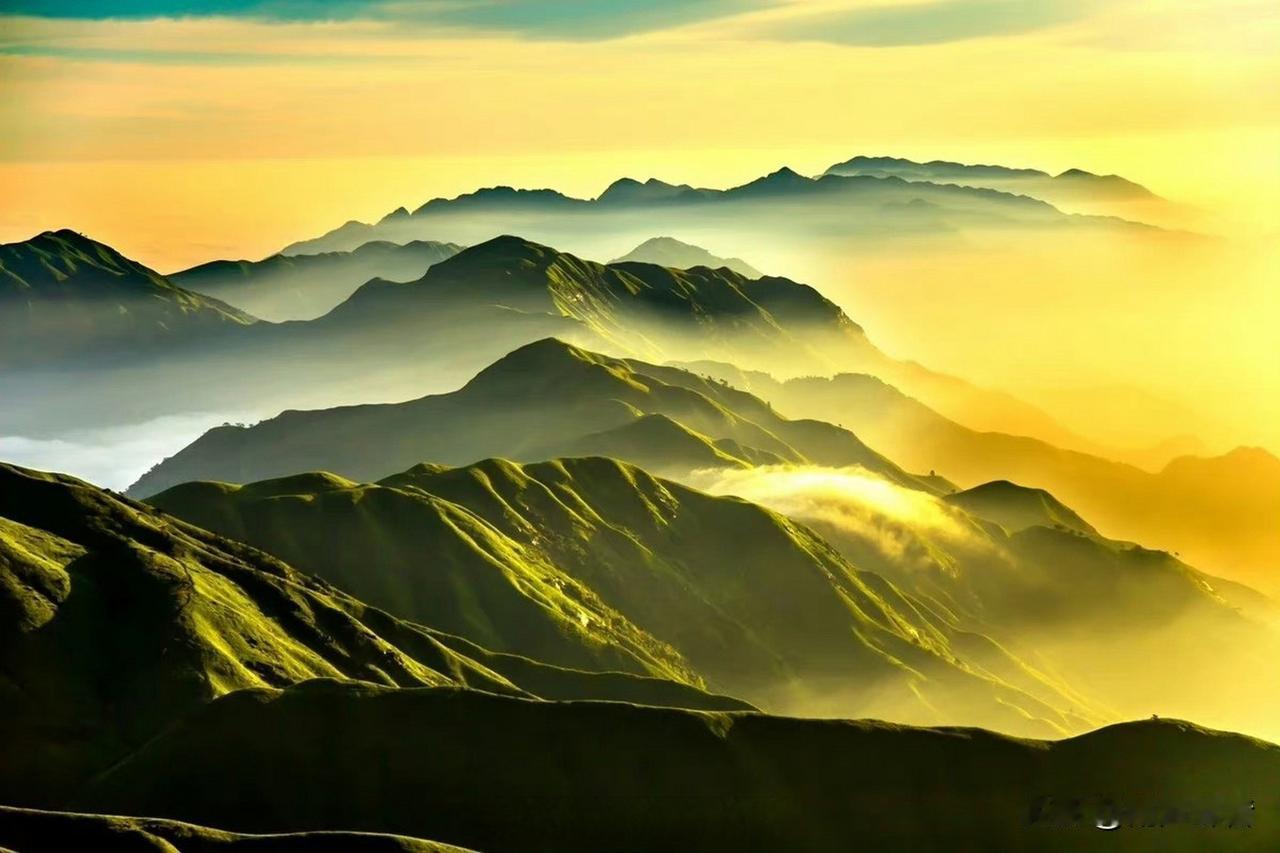 生活中，容易被欺负，大概率是因为这十个性格因素，记得要改！
 
1、太容易共情，