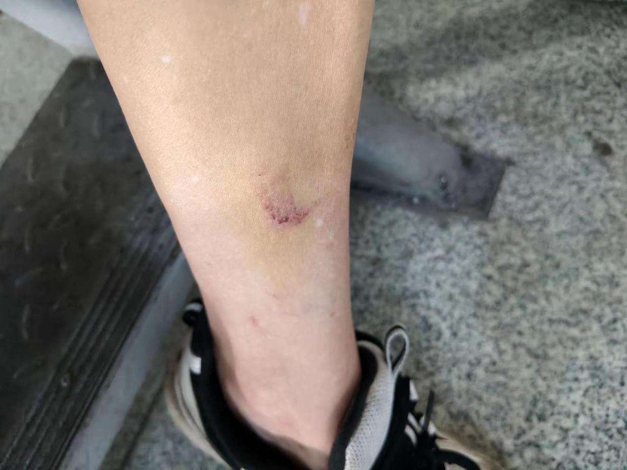 我们属牛的性本善。认真做事，为什么总被坏人伤害呢？
