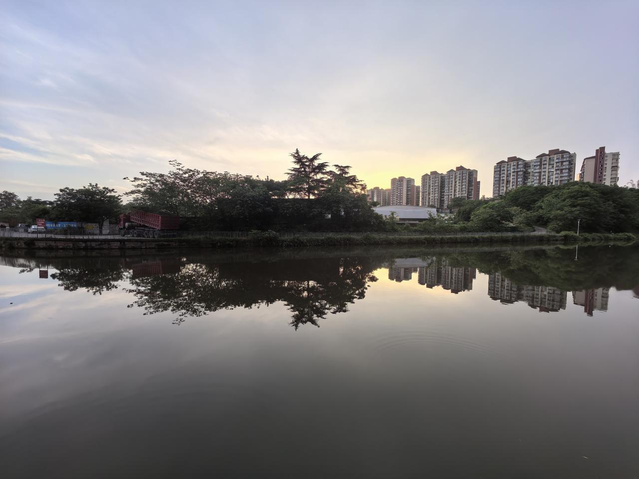 ‌《泡影》以极简语言揭示了亲情干预与命运虚无的深刻悖论‌，游明刚通过“希望树”“