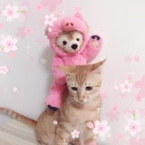 昊铭说说