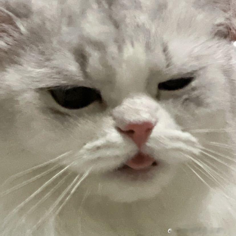 不丢大小眼小丢😺 