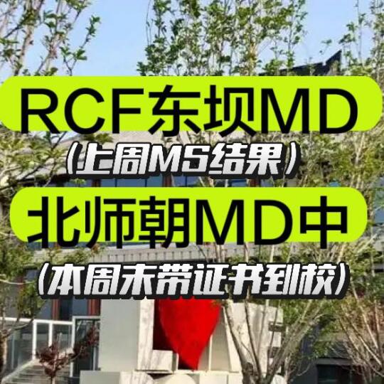 朝阳小升初MD📞中注意接听...