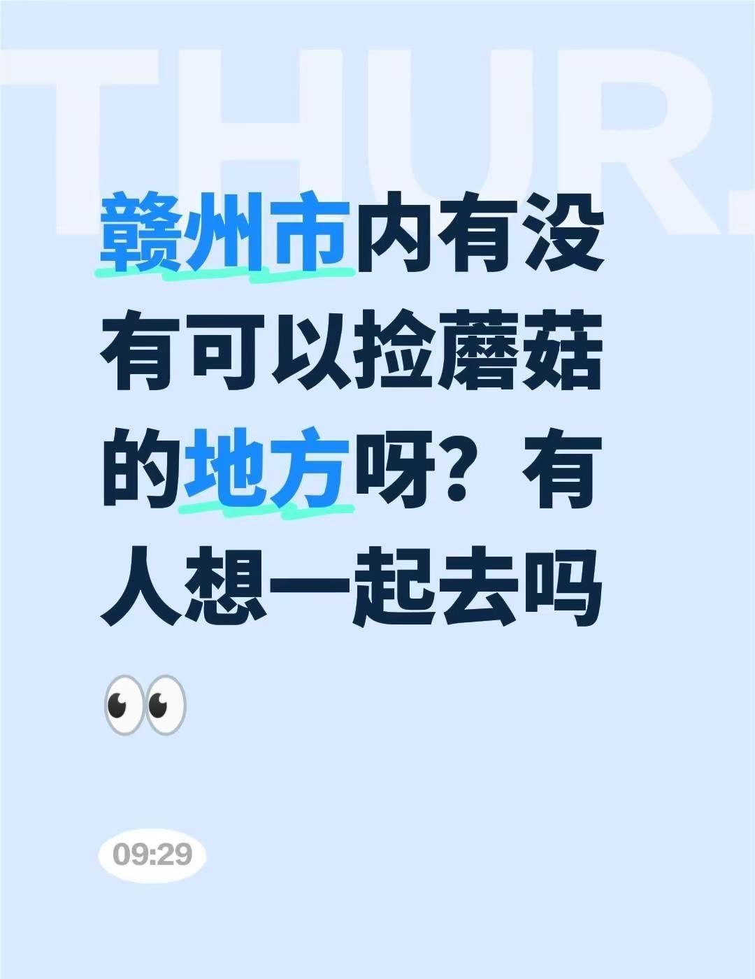 赣州市内有没有可以捡蘑菇的地方呀？有人想一起去吗👀