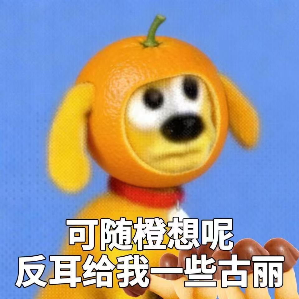 你摸鱼我摸鱼，老板宝马变毛驴 