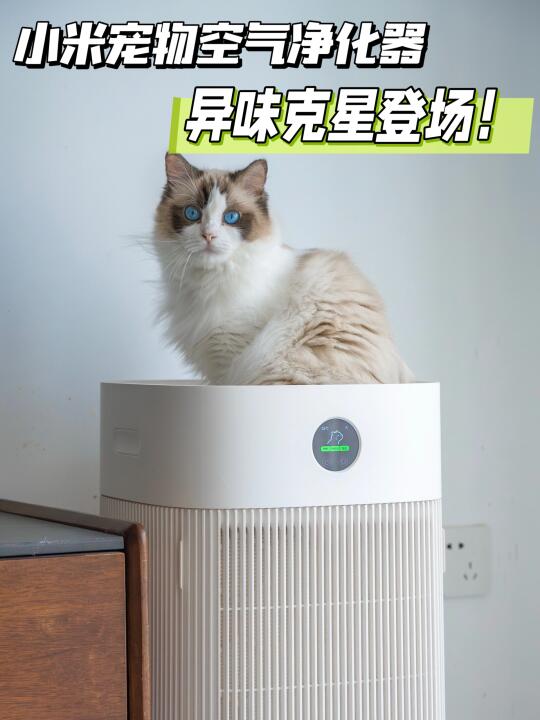 养宠异味重？小米神器来救场啦！