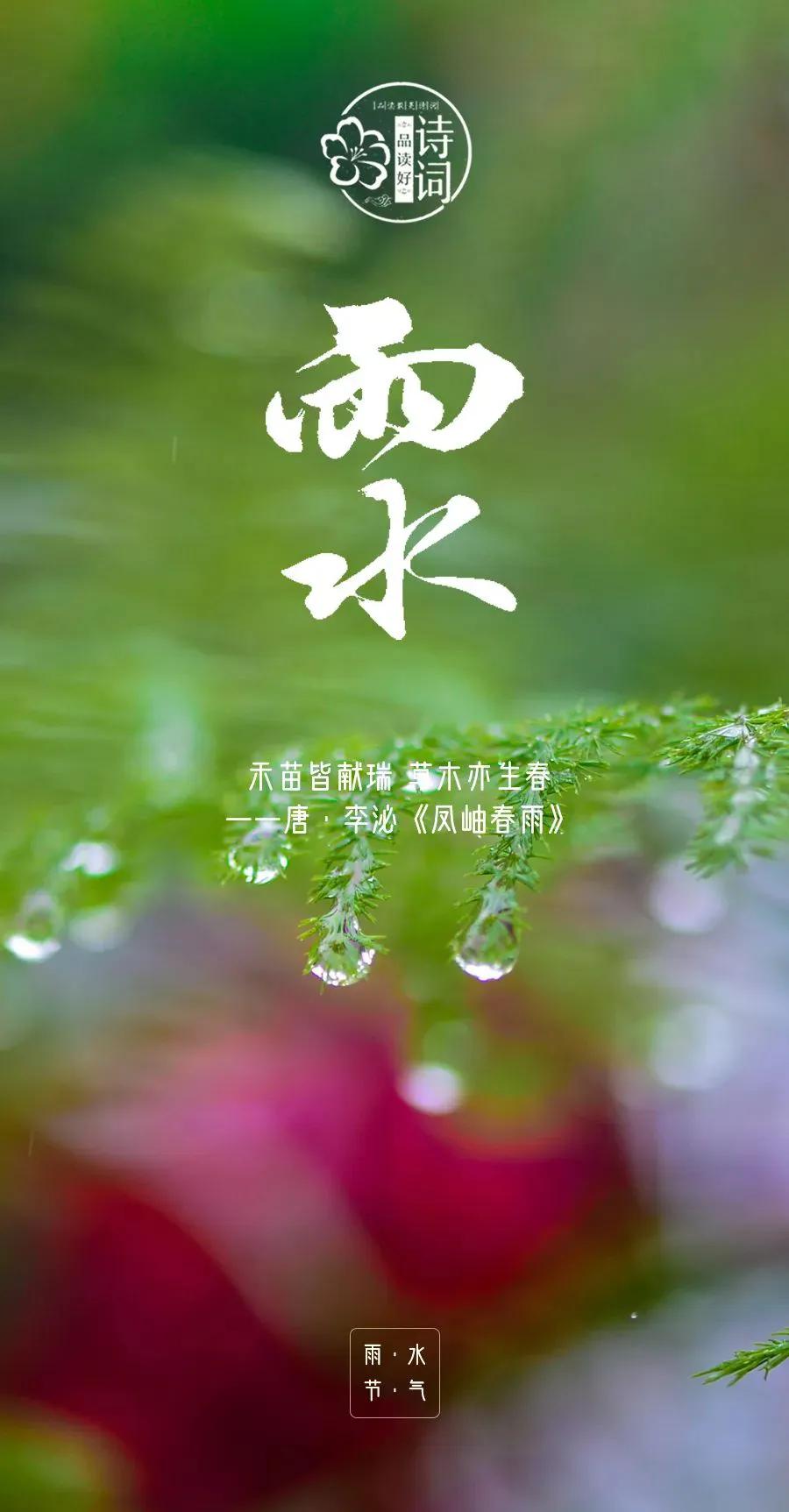 春雨至，万物生，春天的第二个节气雨水来了。

如果说立春是春天的“序曲”，只是刚