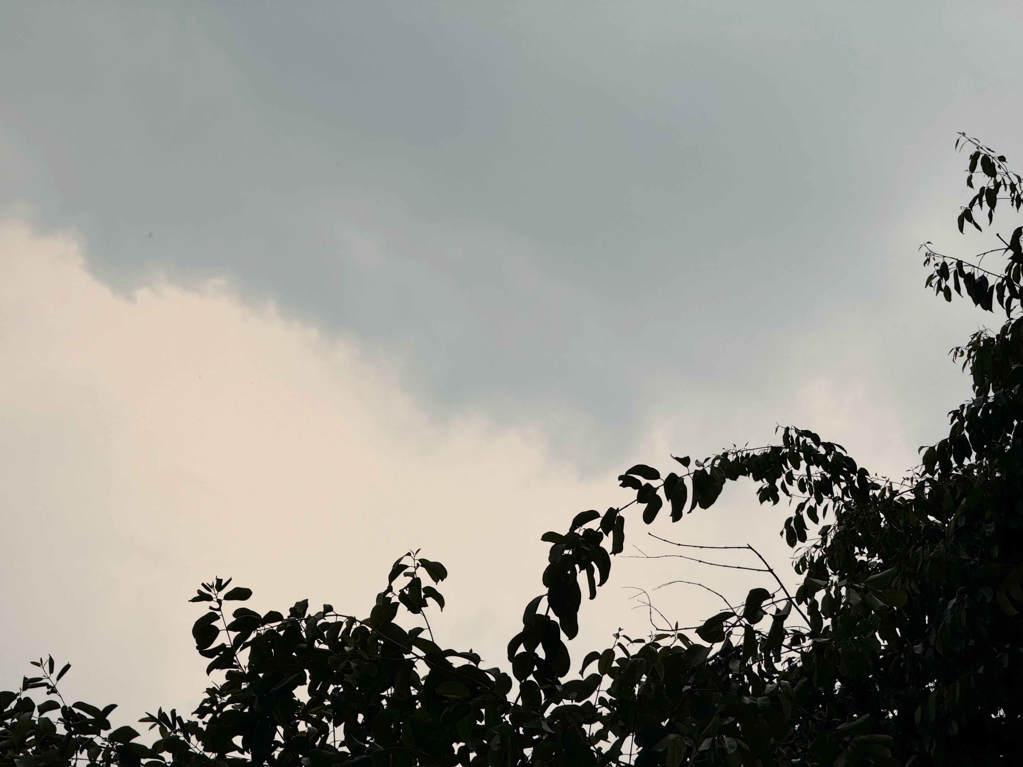 最近深圳天气太不好了本来还想出去拍拍照片刚刚还好好的，一下子就下雨了果然是清明时