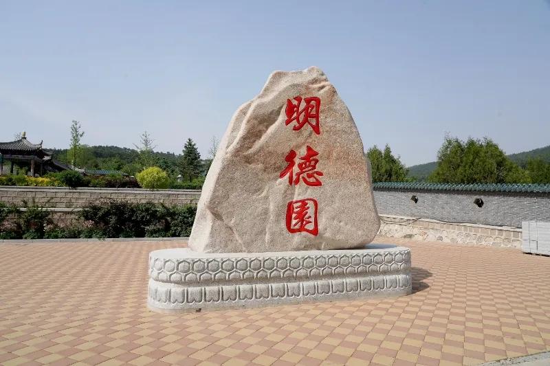 都这么大岁数了，真该回家好好休息啦，继续留在这容易让人说三道四，还是回去享享清福