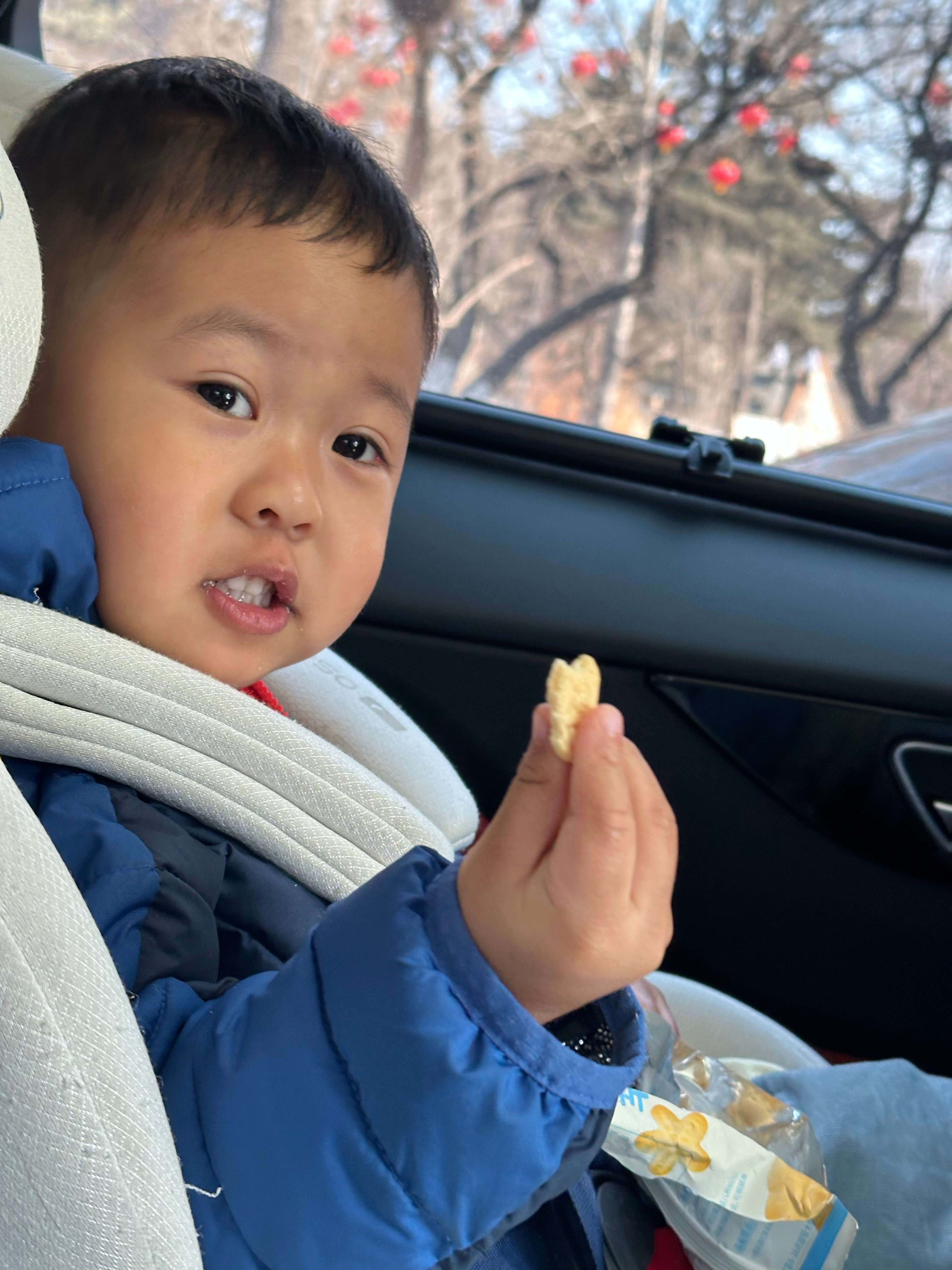 乐纯零食做了新的🔗，动物饼干必买是年糕最爱，我尝过奶味挺足的很好吃的婴儿零食，
