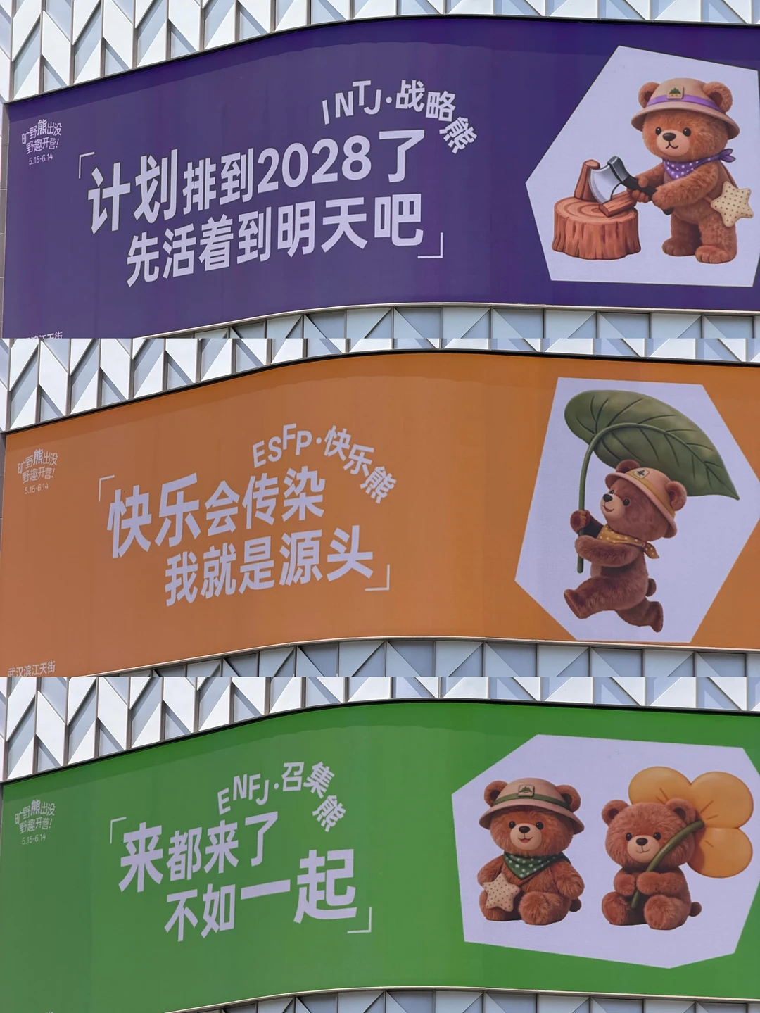 武汉！！我愿称之为治愈小熊🥺