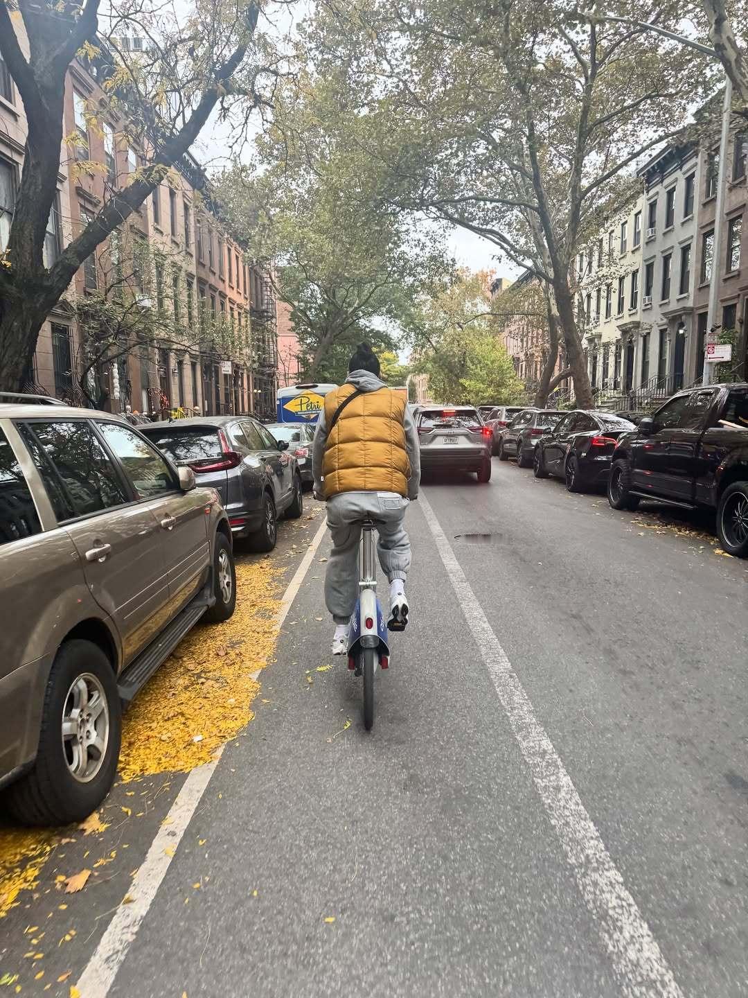 斯图带娃日常 wnba ​​​