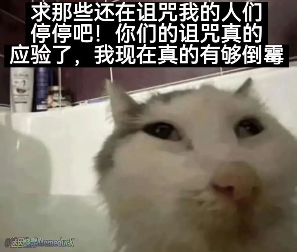 我给你磕两个 ​​​