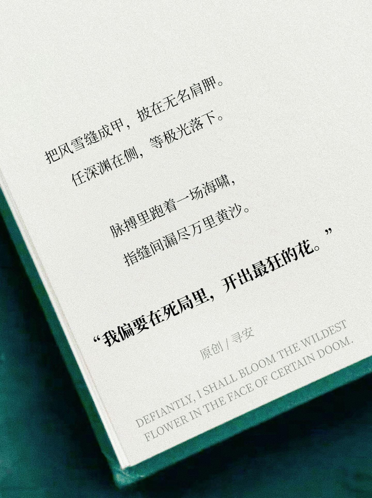 深渊在侧又如何，极光总会落下。愿所有披着风雪前行的赶路人，都能在熬过漫长的黑夜后
