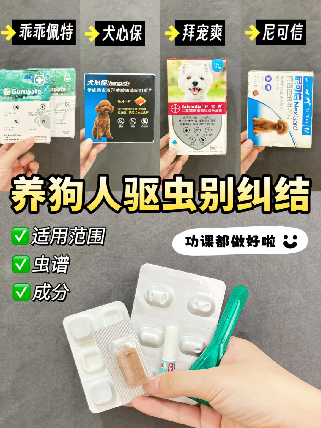 擦亮双眼！做功课选的狗狗驱虫真不踩雷