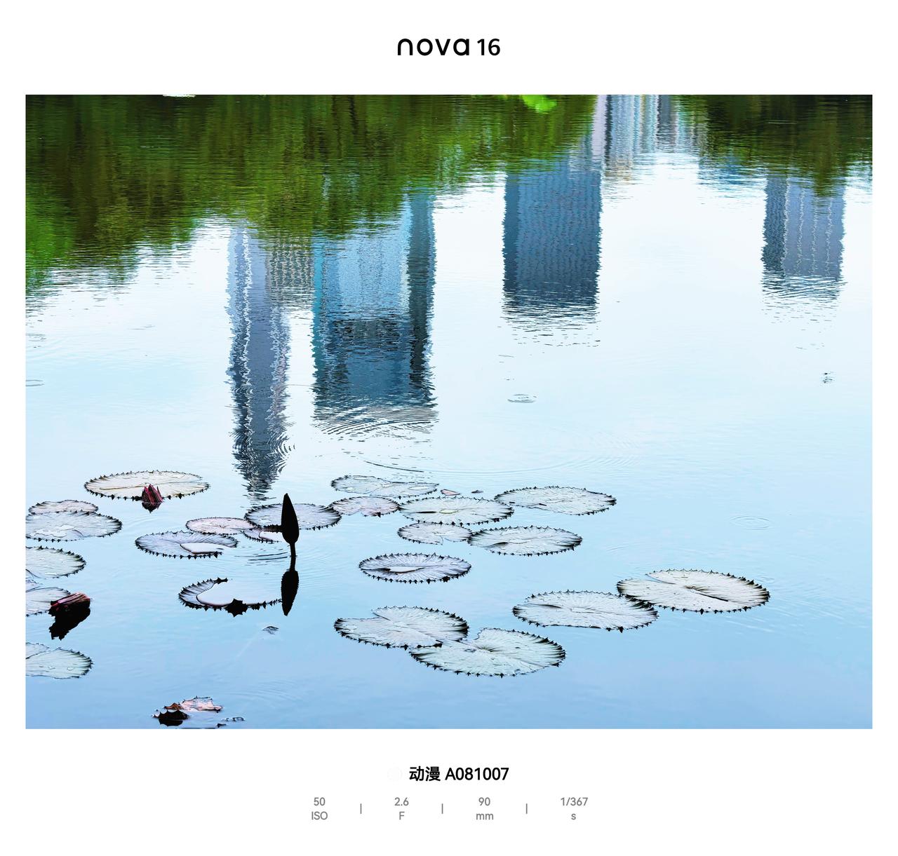 《一张远nova16近搭配的碎片》
近是我站莲花湖边的睡莲花蕾，远而千米外的市民