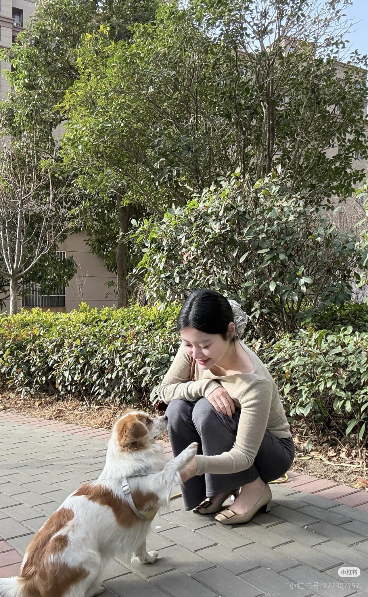 绿树阴中见，白犬卧芳草。