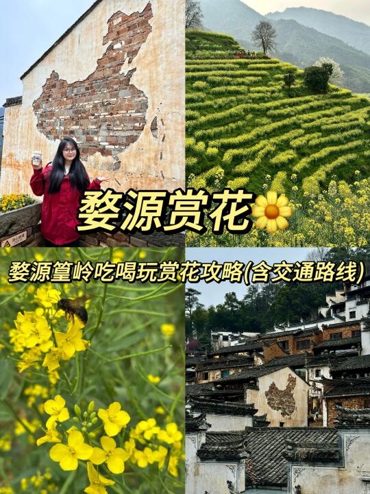 婺源篁岭｜大学生穷游赏花全攻略🌼（含交通）
