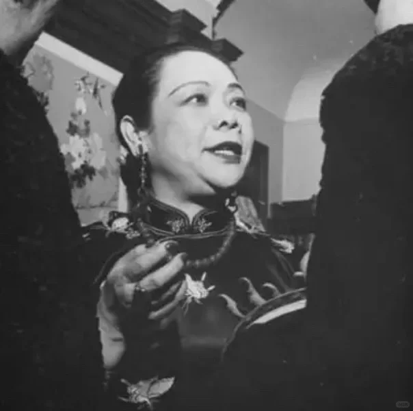 1919年，郑毓秀折了一根玫瑰枝，藏在衣袖里。见到陆征祥后，她用衣袖顶...