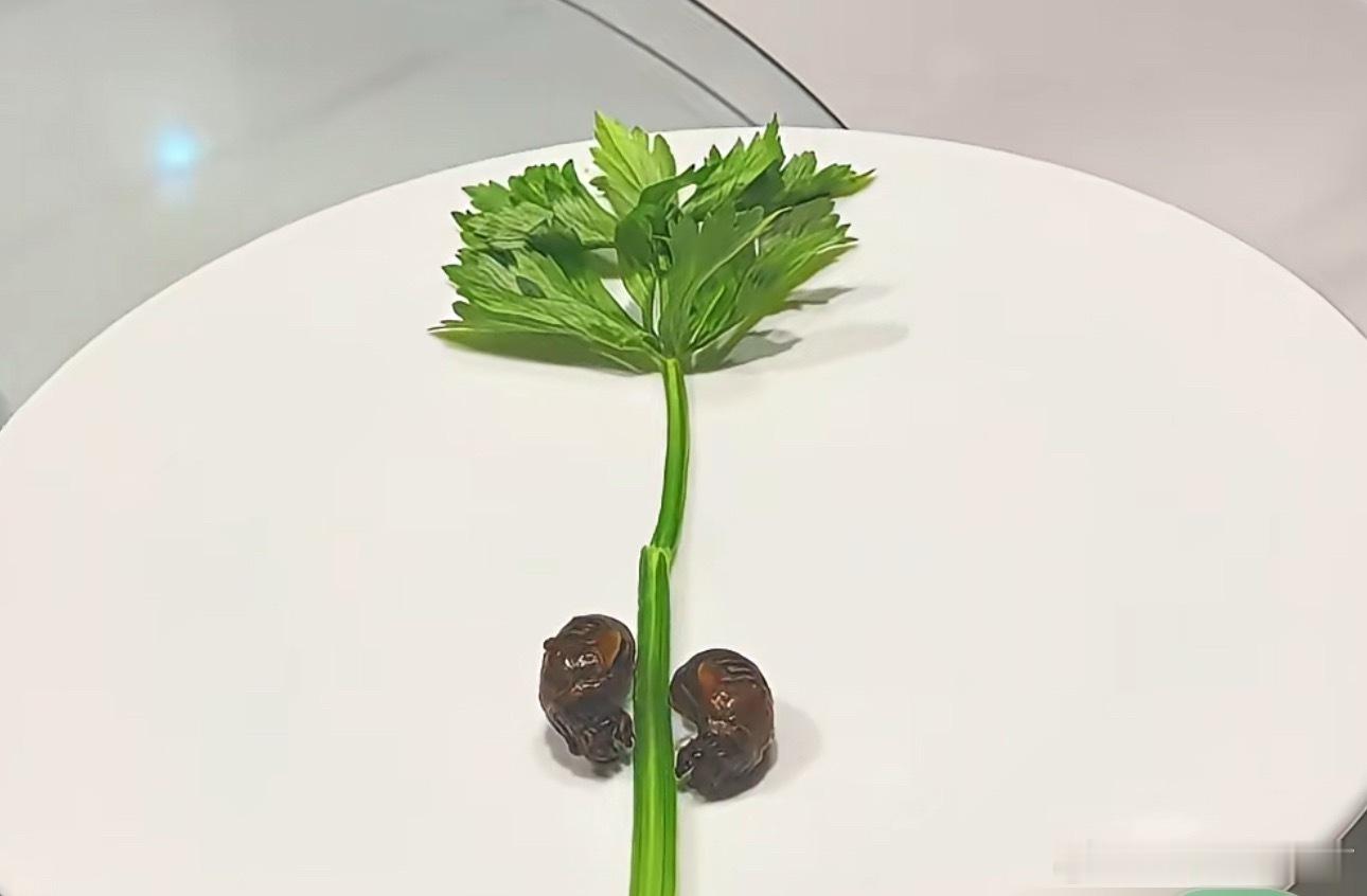 这一份菜，金蝉抱青松，888元，有钱人的生活就是那么无聊奢侈简单快乐，我们捐钱的