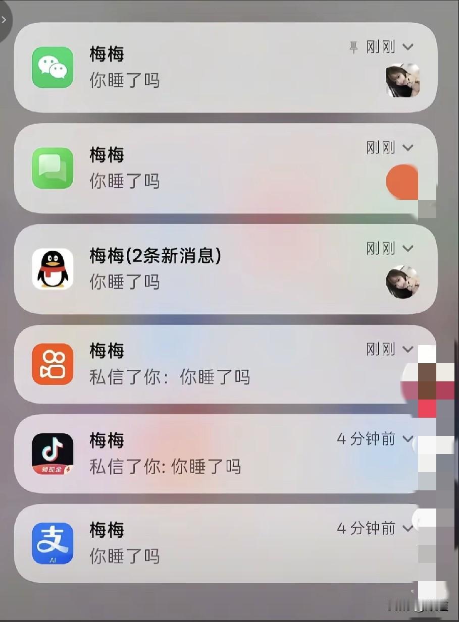 梅梅应该是个女的吧，那就是一个叫梅梅的女人在疯狂的给一个人发信息，而这个人却视而