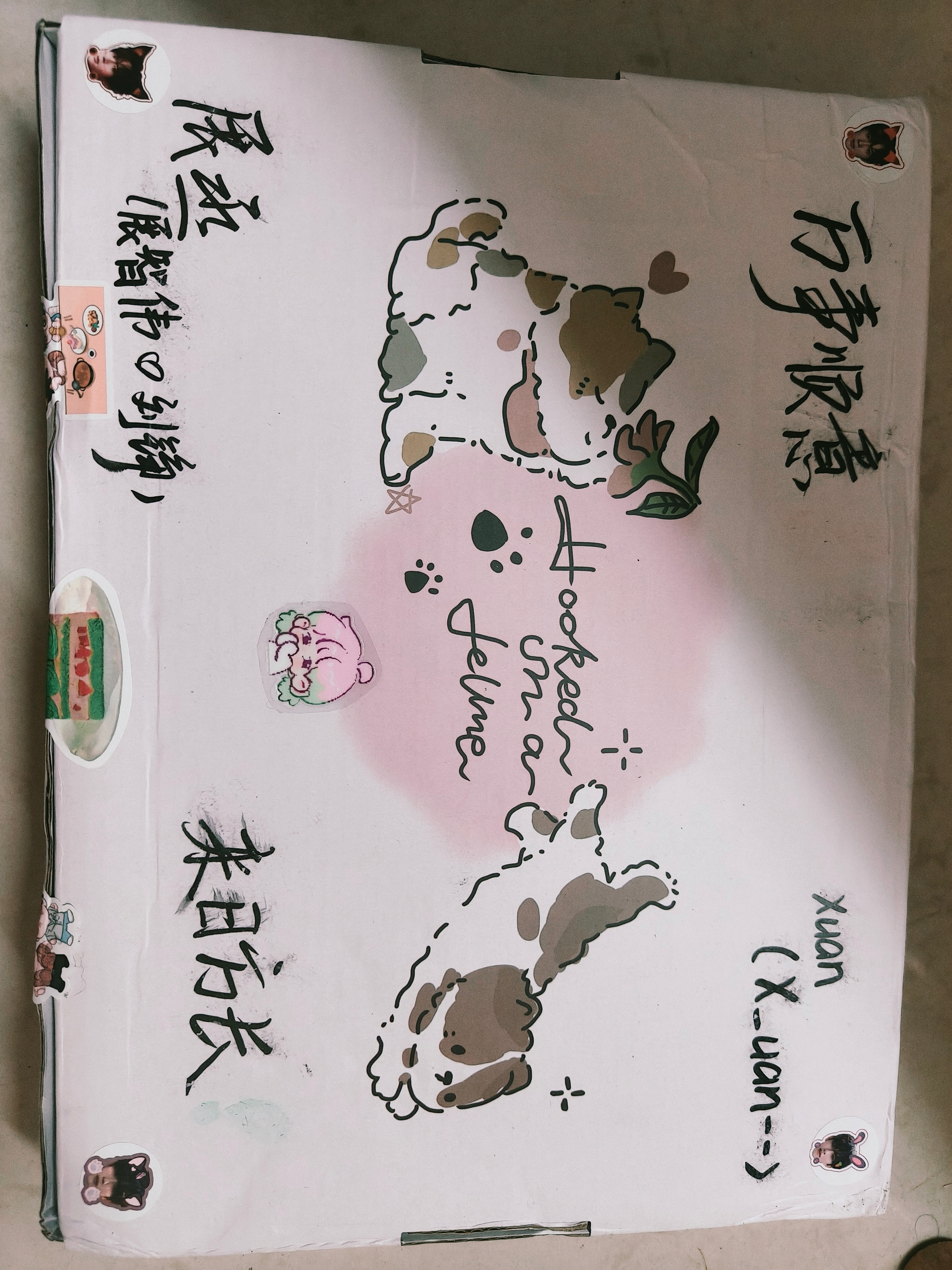 谢谢蘑菇给我寄的一周年快乐啊 超级多超级喜欢啊
