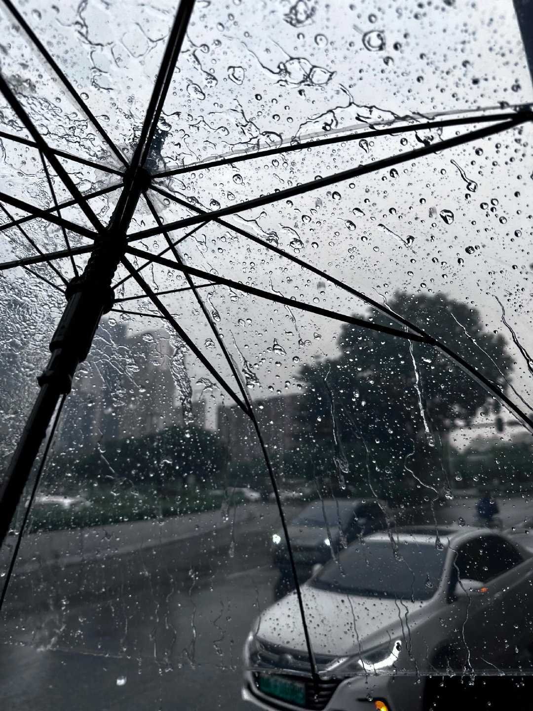 如果他们都否定你 那我就加倍肯定你风景 